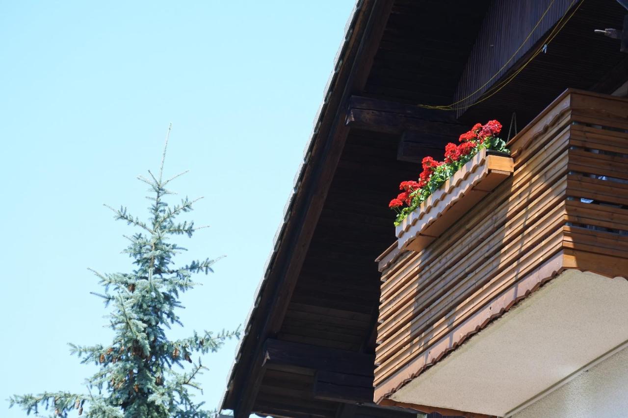 Apartma Vrh Lesce  Kültér fotó